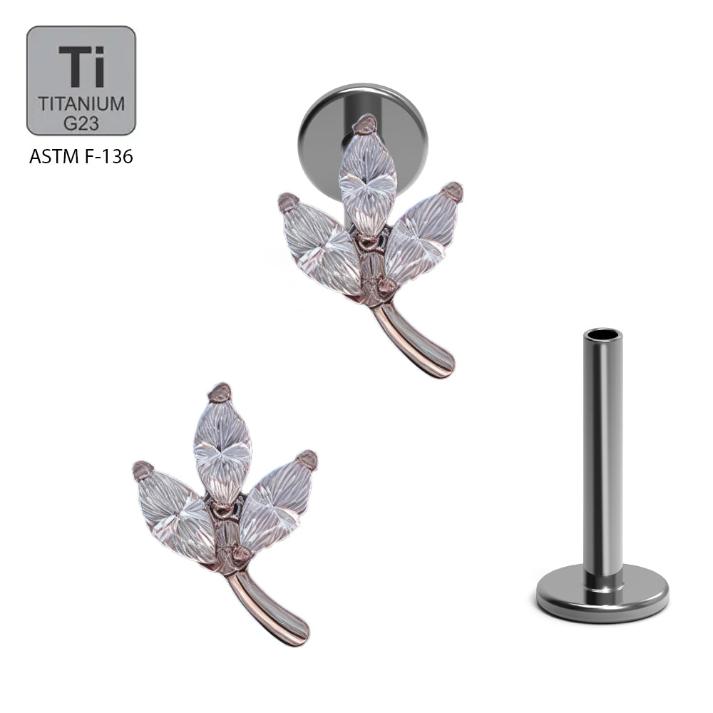 Titan G23 Labret mit Innengewinde und Zirconia Design