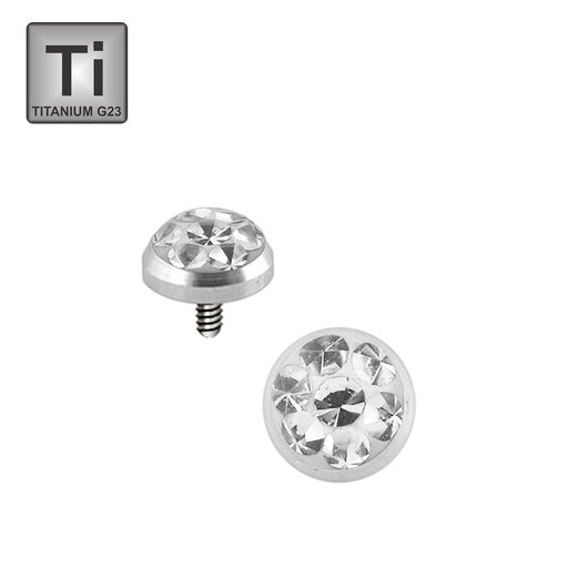 Titan G23 Dermal Anchor Kristall Epoxy Top - Stärke 1.2mm