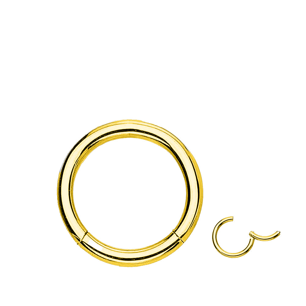 18K Gold Steel Segmentring Clicker